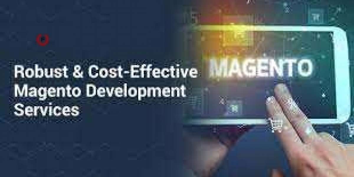 Magento Web Development: Building Ecommerce Websites