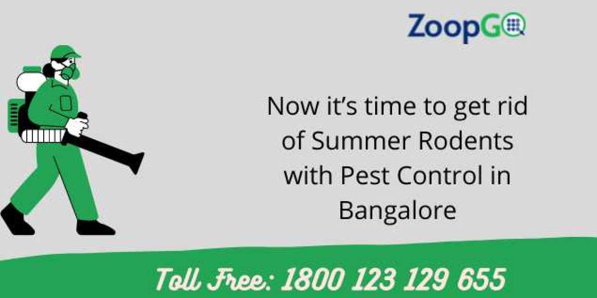 Now it’s time to get rid of Summer Rodents with Pest Control in Hyderabad