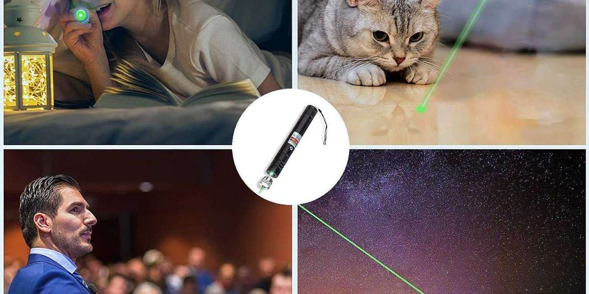 Pourquoi les chats aiment-ils tant les lasers ? Voici ce que la science nous dit