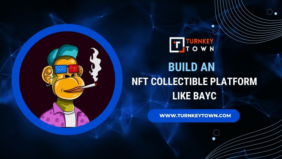 Build An NFT Collectible Platform Like BAYC