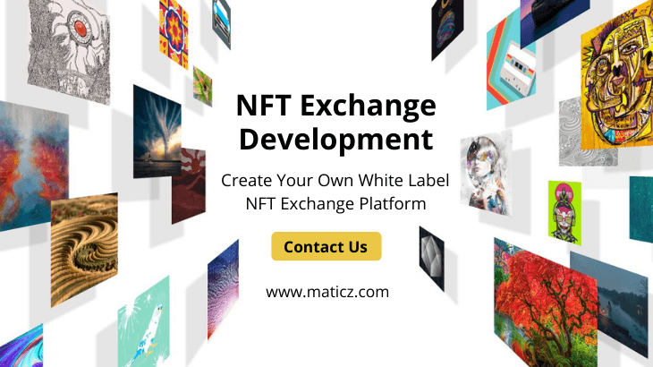 NFT Exchange Platform Development Services