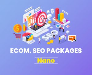 eCommerce SEO Services In India, Delhi | eCommerce Solution