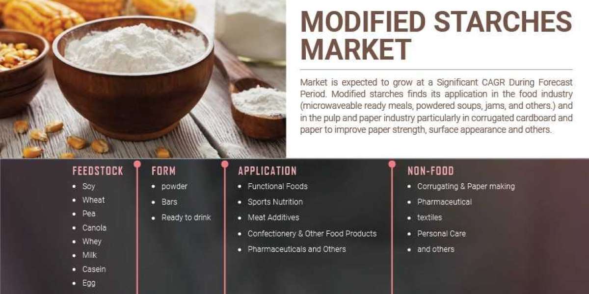 Modified Starch Market share To Surge At A Robust Pace In Terms Of Revenue Over 2030