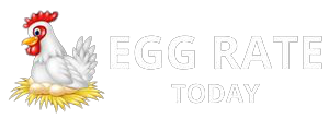 Mumbai Egg Rate Today | NECC Egg Price in Mumbai, Maharashtra