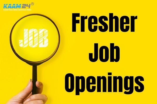 Latest Find Jobs for Freshers in Delhi NCR 2023
