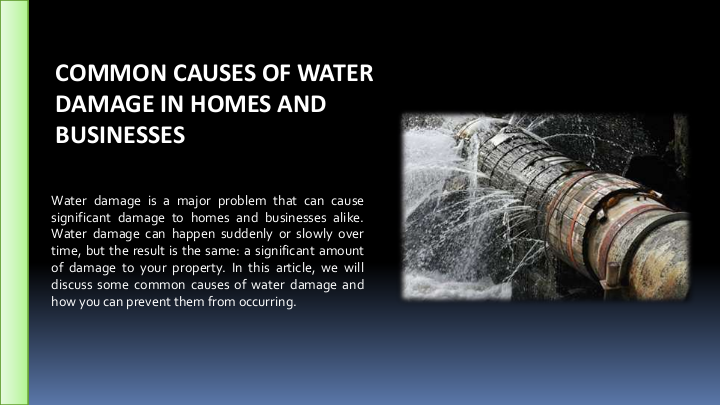 Common Causes of Water Damage in Homes and Businesses | edocr