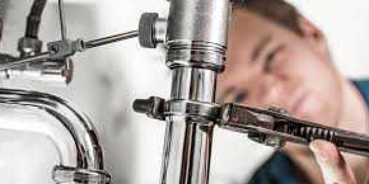 The Importance of Hiring a Professional Plumber in Narre Warren