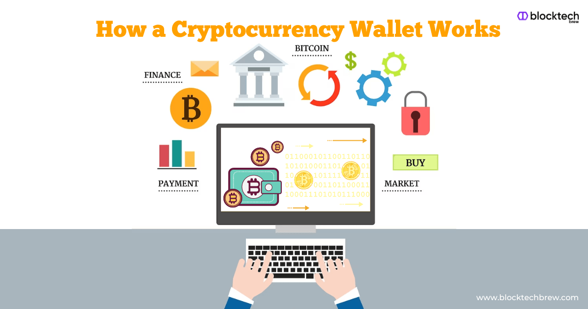 How a Cryptocurrency Wallet Works - NEWS BOX OFFICE