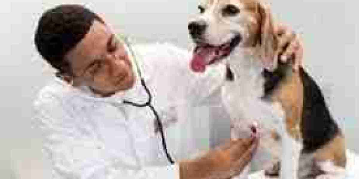Compassionate Care for Your Furry Friends: Choosing the Best Animal Hospital in Winnipeg