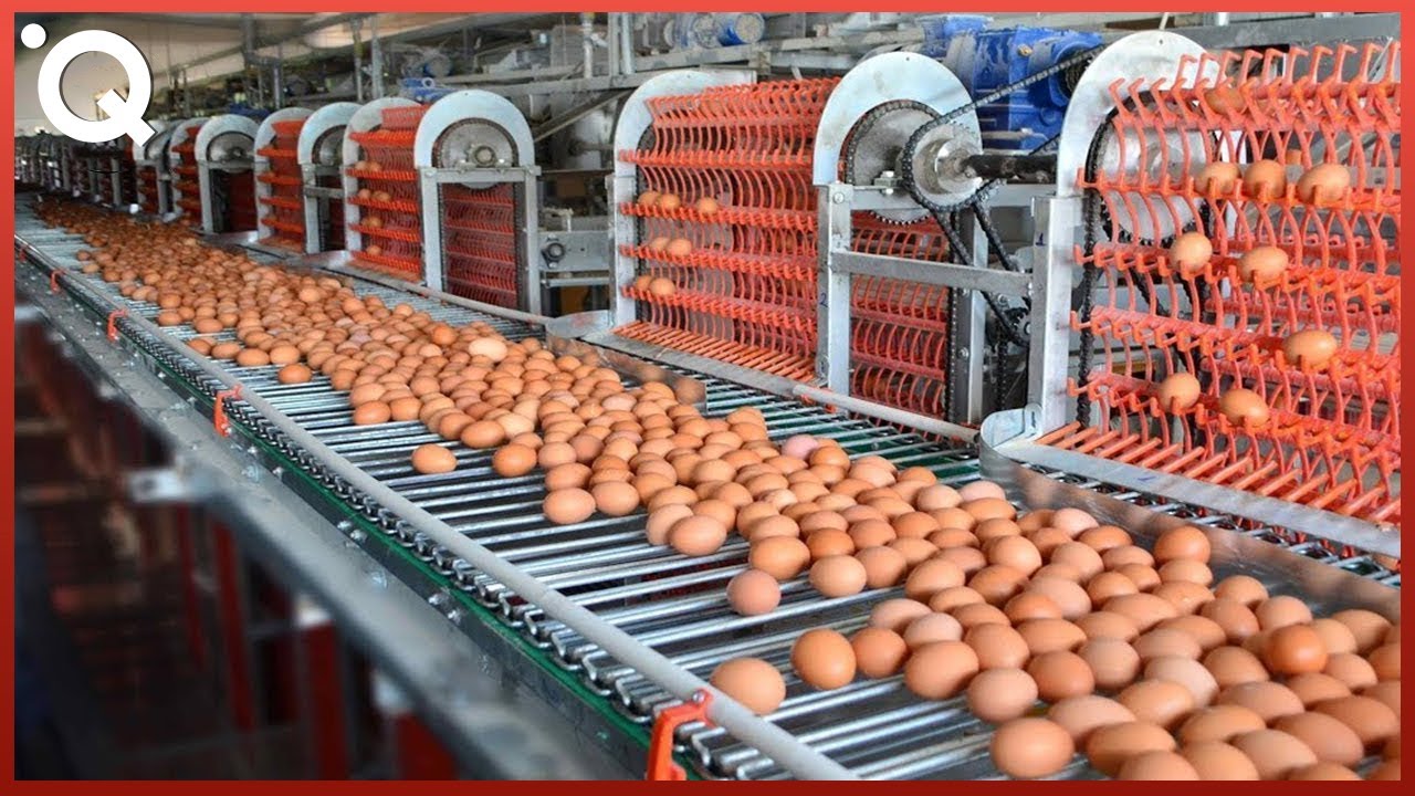 Food Industry Machines That Are At Another Level ▶7