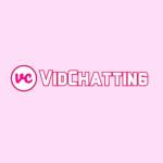 VidChatting