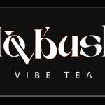 Dovbush Vibe Tea
