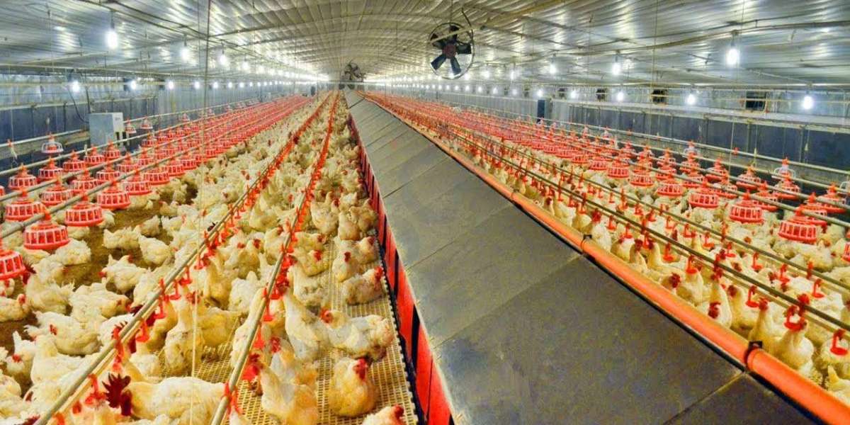 Poultry Keeping Machinery Market is Estimated to Witness High Growth Owing to Increased Automation in Poultry Farming