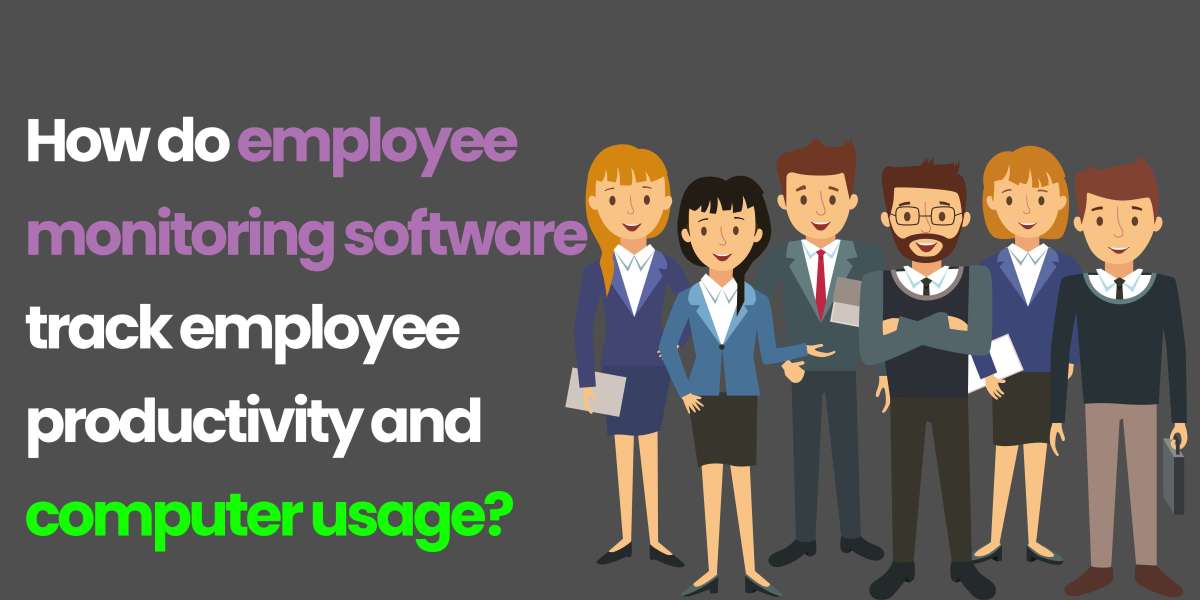 How do employee monitoring software track employee productivity and computer usage?