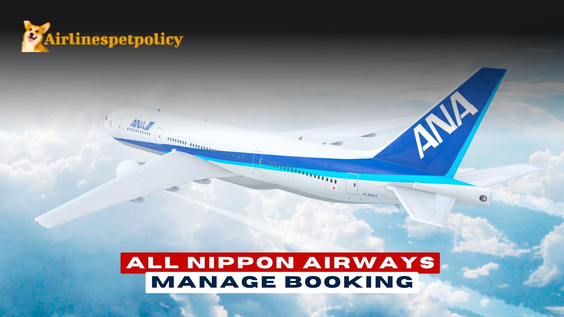 ANA Manage Booking Policy | Online | +1-844-902-4930 (OTA)