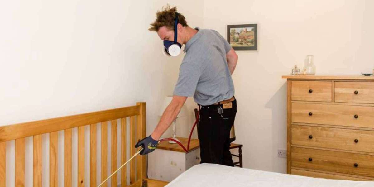 Pest Control: Effective Bedbug Control in Singapore