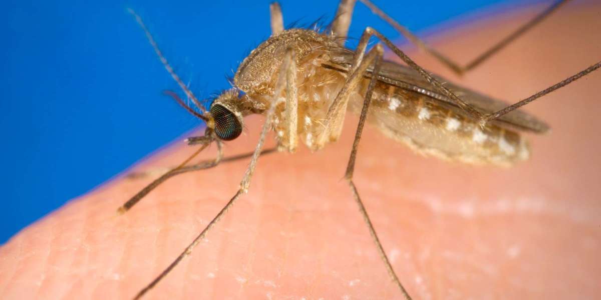 West Nile Virus Market Is Estimated to Witness High Growth Owing to Increasing Government Support for Research and Devel