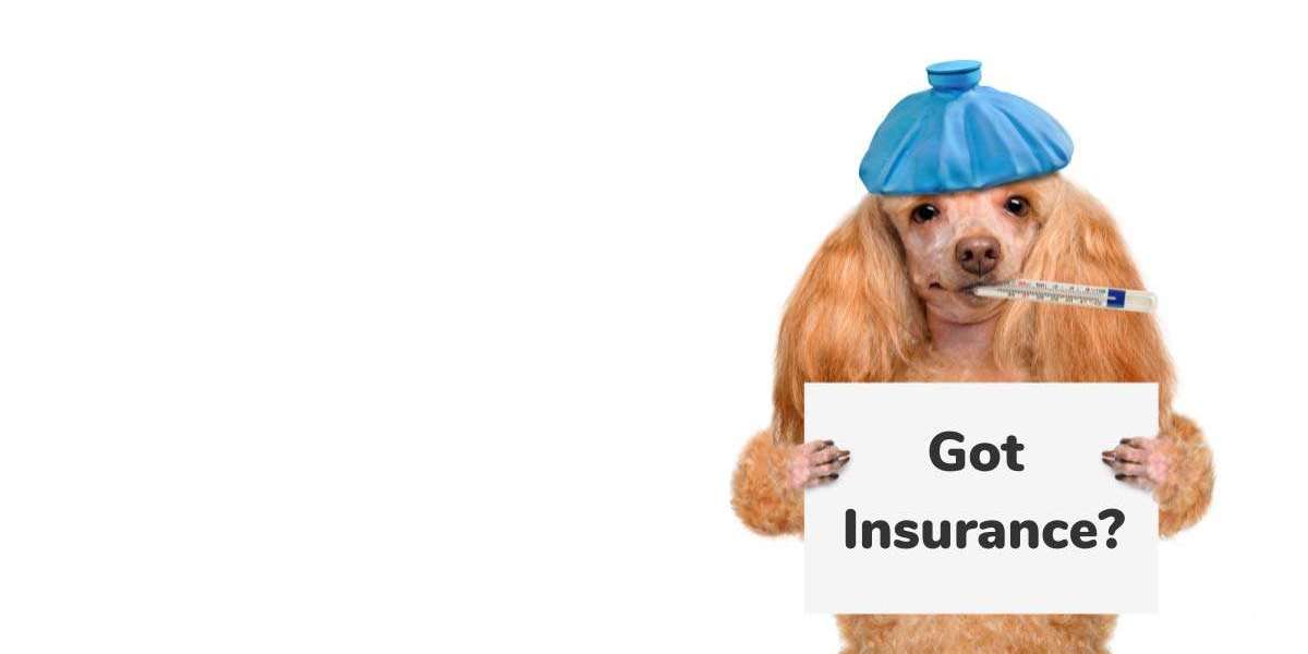 Pet Insurance Market is Estimated to Witness High Growth Owing to Rising Pet Expenditure