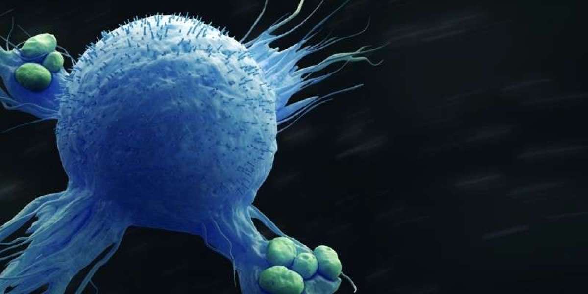 Macrophage Marker Market is Estimated to Witness Substantial Growth Owing to Rising Demand in Drug Discovery and Develop