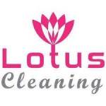 Lotus Carpet Cleaning Profile Picture