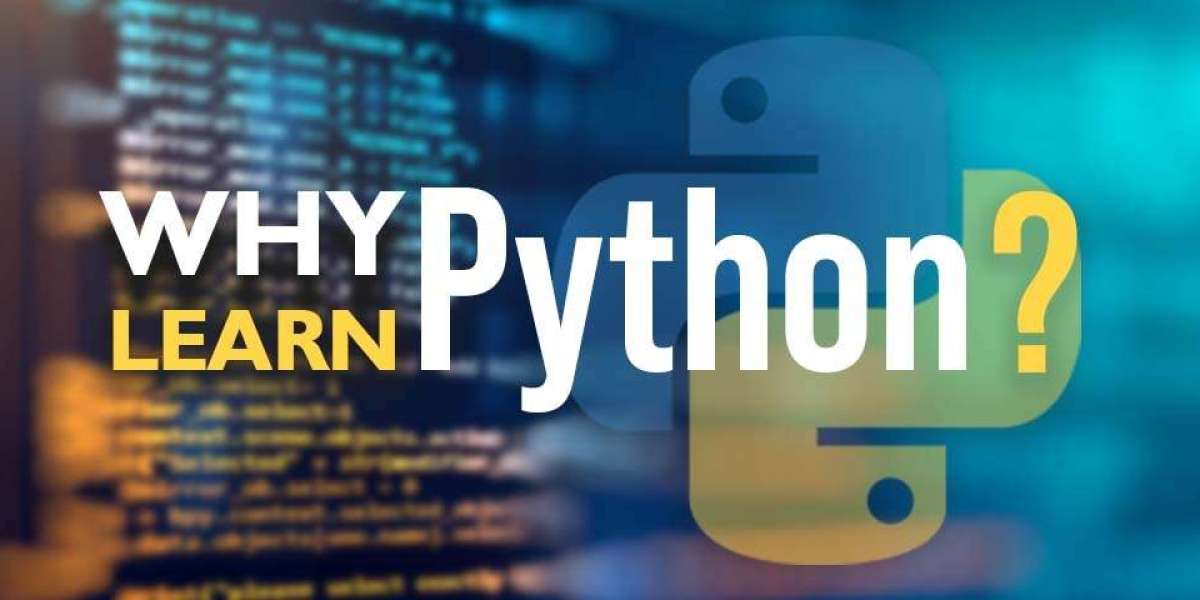 What Is Python? Top Seven Reasons To Learn Python!