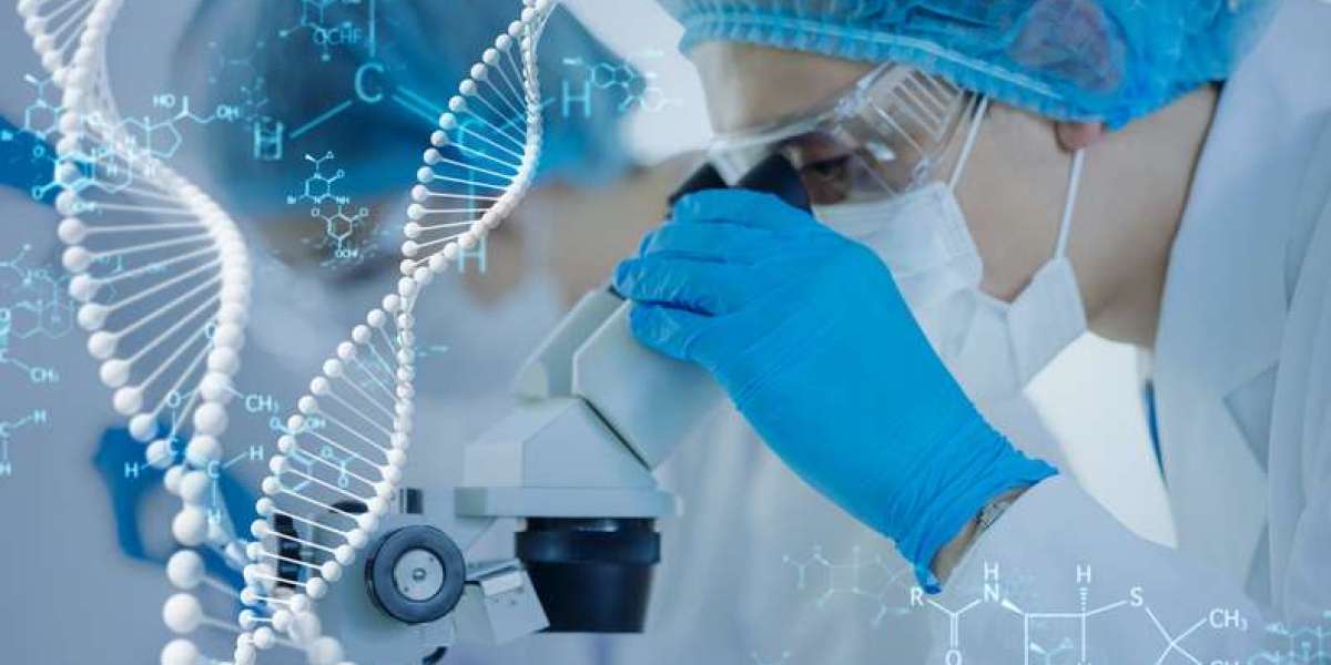 Plasmid DNA Manufacturing Market Estimated to Witness Double-Digit Growth