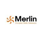 Merlin ERD limited