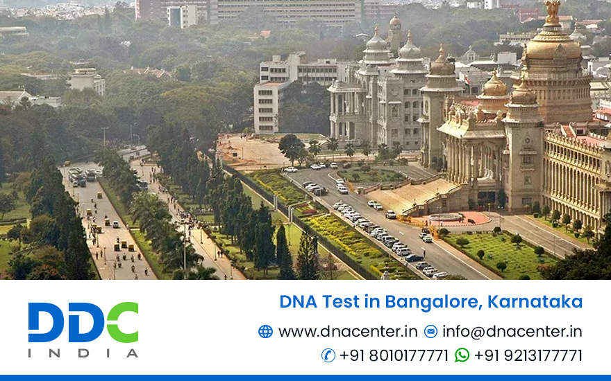 DNA Test Labs in Bangalore | DNA Test Cost in Bangalore