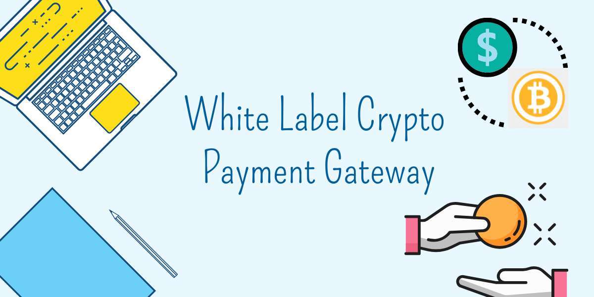 Integrating Cryptocurrency Payment Gateways For Businesses: Next-Level Transactions