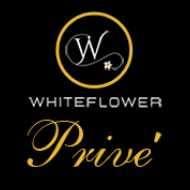 Prive By Whiteflower Profile Picture