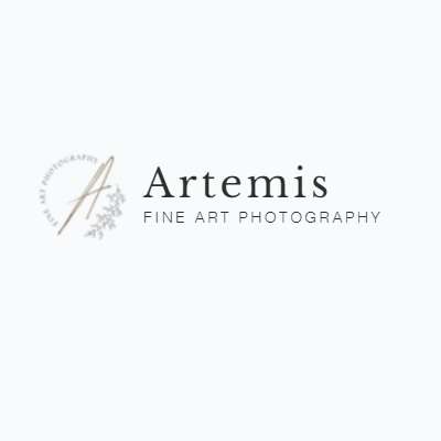 Artemis fine art Profile Picture