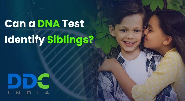 How Can Sibling DNA Testing Be Helpful? - WriteUpCafe.com