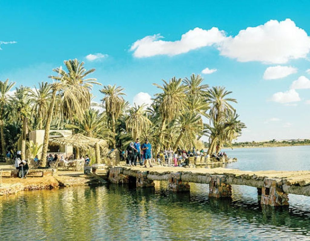 Mistakes To Avoid When You Plan A Siwa Tour From Cairo With Your Family | FACTOFIT