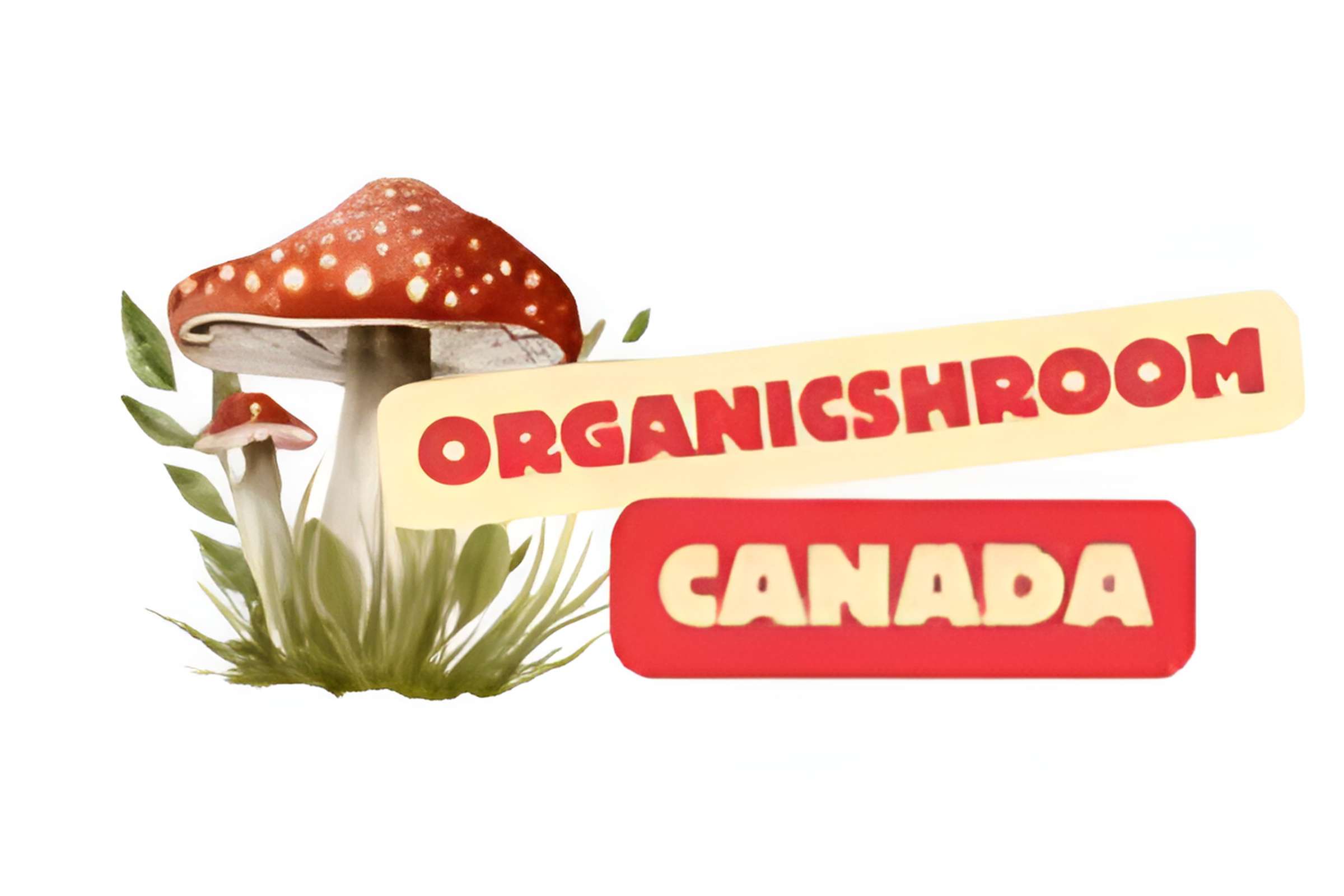 Organic Shroom Canada