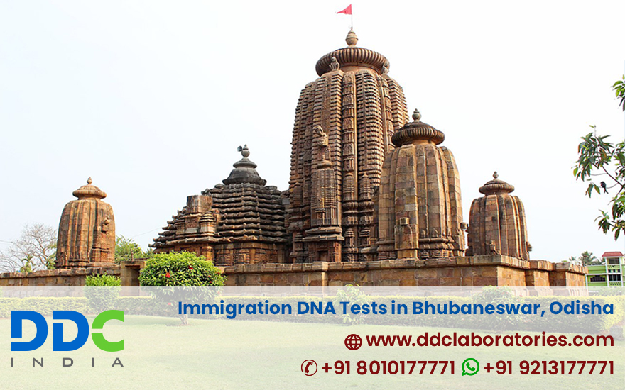 Immigration DNA Tests in Bhubneshwer Odisha - DNA Testing India
