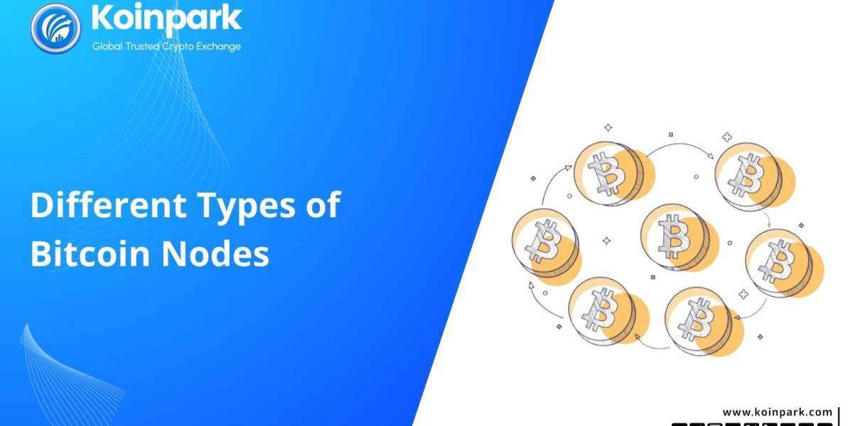 Different Types of Bitcoin Nodes