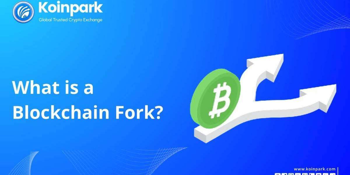 What is a Blockchain Forks: A Comprehensive Guide