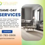 Vital Clean Carpet Cleaning LLC