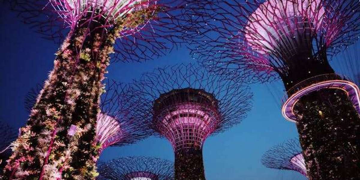 A World of Wonder Awaits: Exploring Gardens by the Bay on Your Singapore Malaysia Tour Packages for Family [2024]