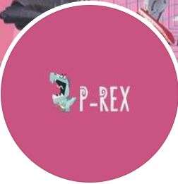 P-REX Hobby